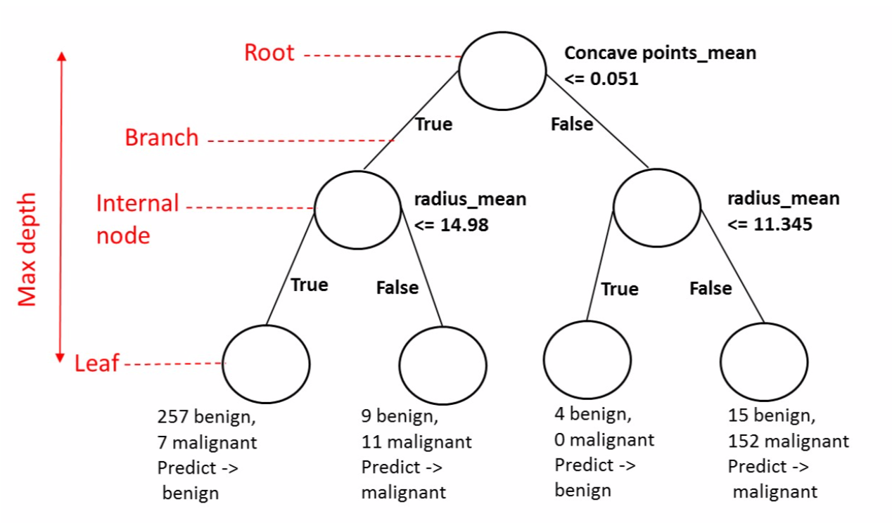 Decision Tree