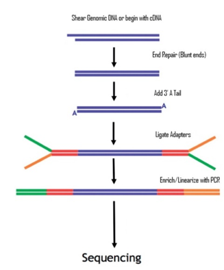 sequencing